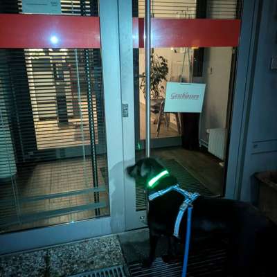 Freddys Kummerkasten-Beitrag-Bild