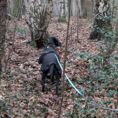 "Wege zur Freundschaft" (Ulli Reichmann)-Beitrag-Bild
