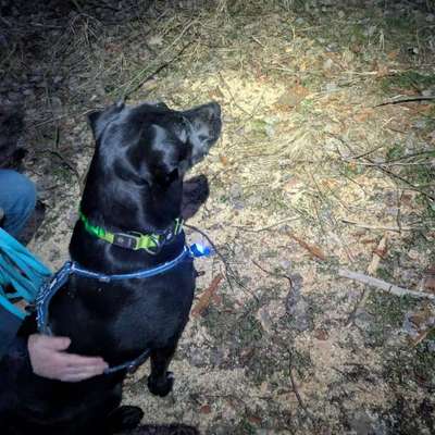 "Wege zur Freundschaft" (Ulli Reichmann)-Beitrag-Bild