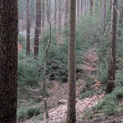 "Wege zur Freundschaft" (Ulli Reichmann)-Beitrag-Bild