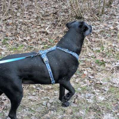 "Wege zur Freundschaft" (Ulli Reichmann)-Beitrag-Bild