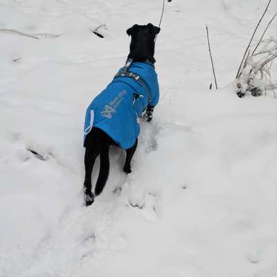 "Wege zur Freundschaft" (Ulli Reichmann)-Beitrag-Bild