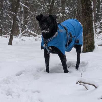"Wege zur Freundschaft" (Ulli Reichmann)-Beitrag-Bild