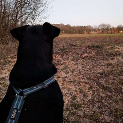 "Wege zur Freundschaft" (Ulli Reichmann)-Beitrag-Bild