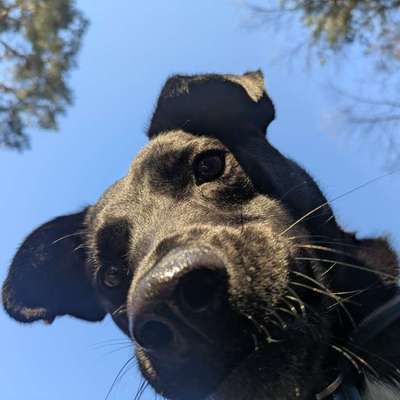 Was hat euch heute gefreut?-Beitrag-Bild