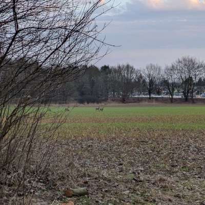 "Wege zur Freundschaft" (Ulli Reichmann)-Beitrag-Bild