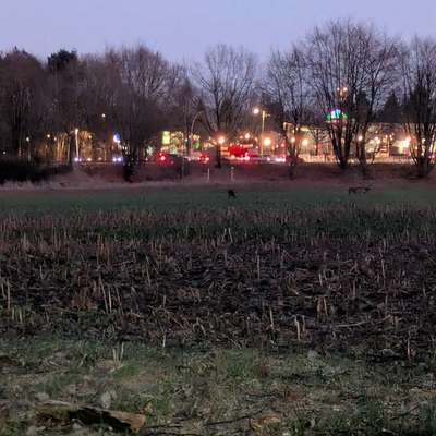 "Wege zur Freundschaft" (Ulli Reichmann)-Beitrag-Bild