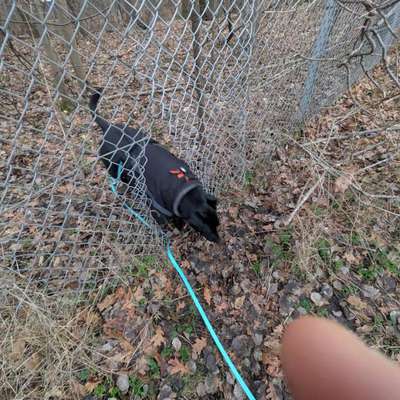 "Wege zur Freundschaft" (Ulli Reichmann)-Beitrag-Bild