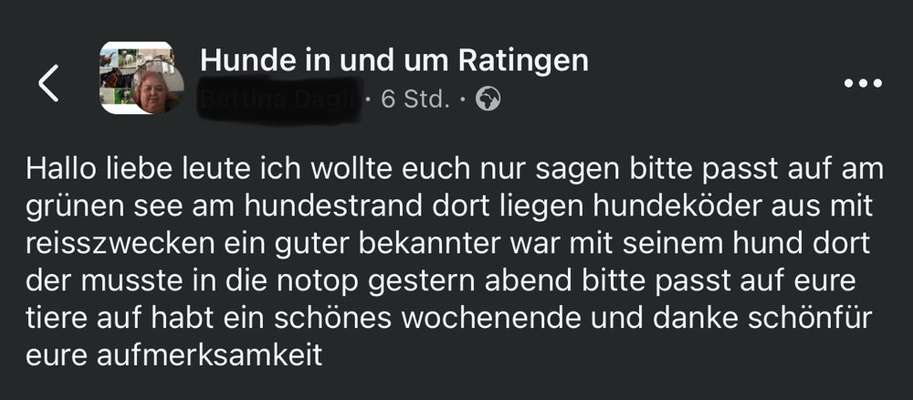 Giftköder-Köder mit Reißzwecken-Bild