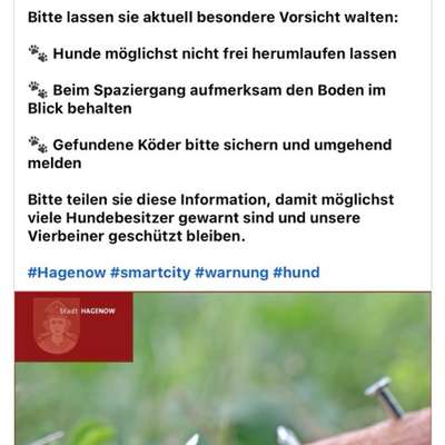 Giftköder-Giftköder gemeldet von der Stadt-Bild