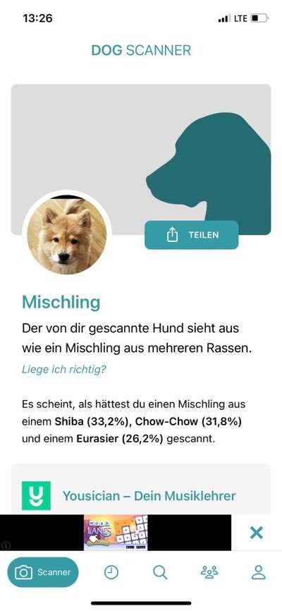 Was denkt ihr, welche Rassen könnten in ihm stecken?-Beitrag-Bild
