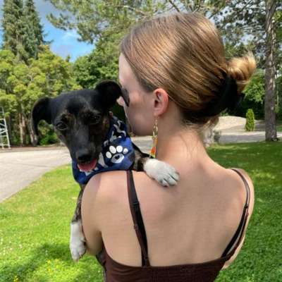 Hundetreffen-Gassirunde / social walk 🐕-Profilbild