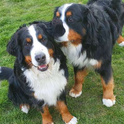 Fotochallenge liebespaare-Beitrag-Bild