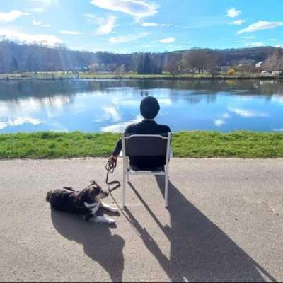 Hundetreffen-Welpenspielrunde Alstaden West-Profilbild