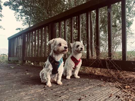 Zeigt mir eure Lieblingsfotos ♡♡-Beitrag-Bild