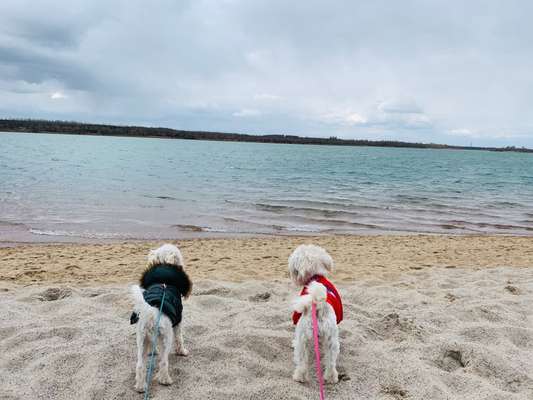 Eure Strandbilder :)-Beitrag-Bild