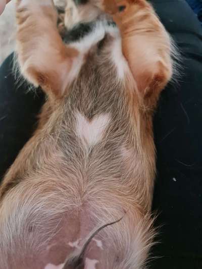 Blick fürs Detail!-Beitrag-Bild