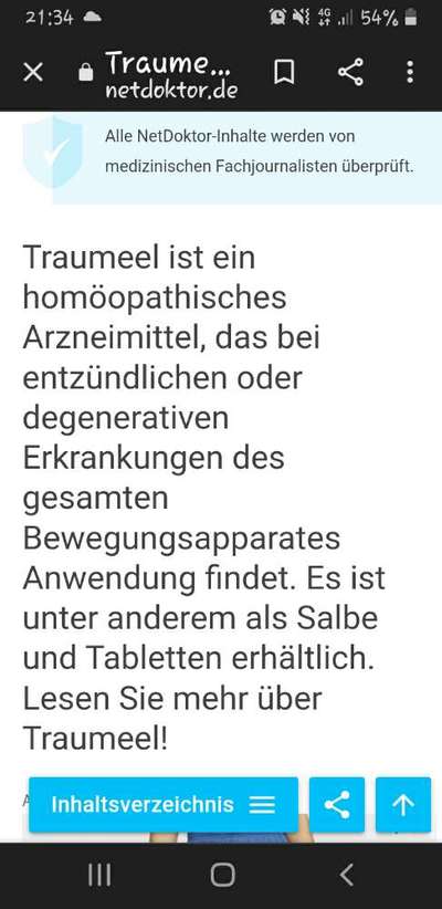 Hausapotheke Hund-Beitrag-Bild