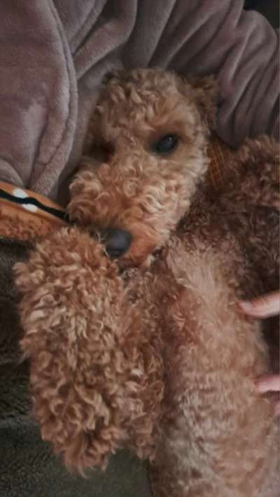 Zeigt eure Portraits-Beitrag-Bild