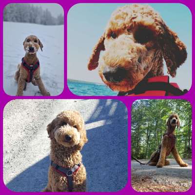 30. Collagen Challenge - Wege/Straßen-Beitrag-Bild