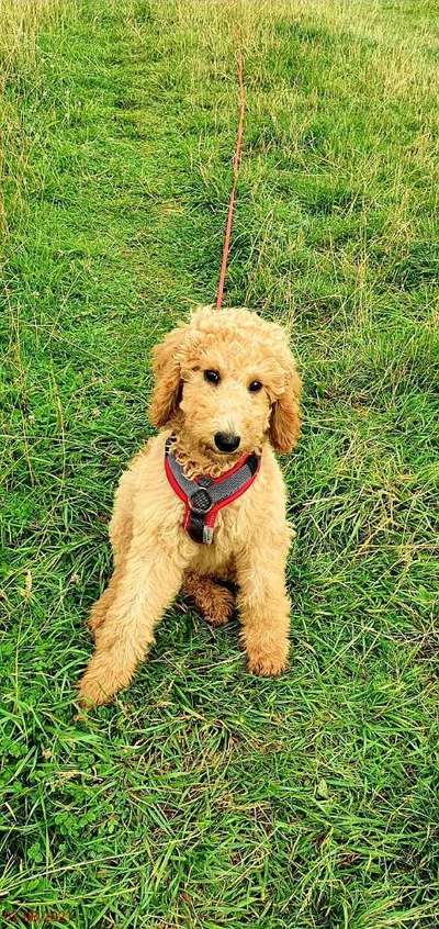 Farben Fotochallenge Thema ,,Grün"-Beitrag-Bild