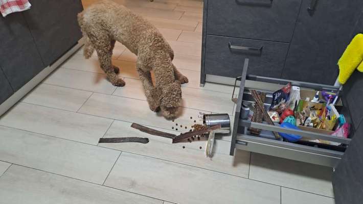 Fotochallenge 113: Auf frsicher Tat ertappt-Beitrag-Bild