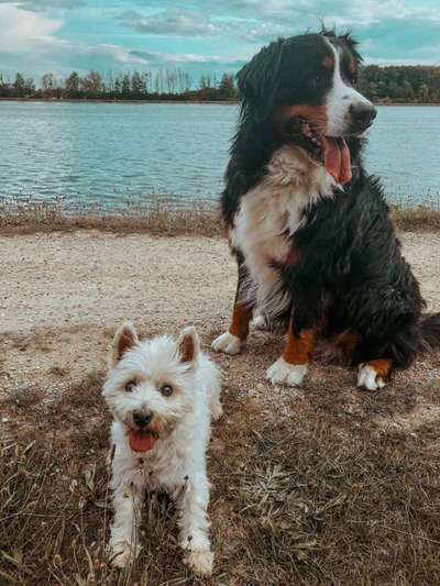 Zeigt eure Portraits-Beitrag-Bild