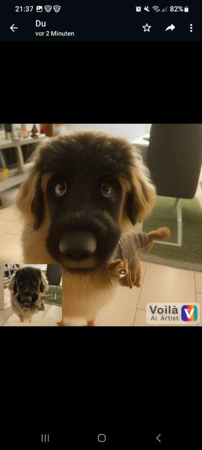 Voila app Bilder-Beitrag-Bild