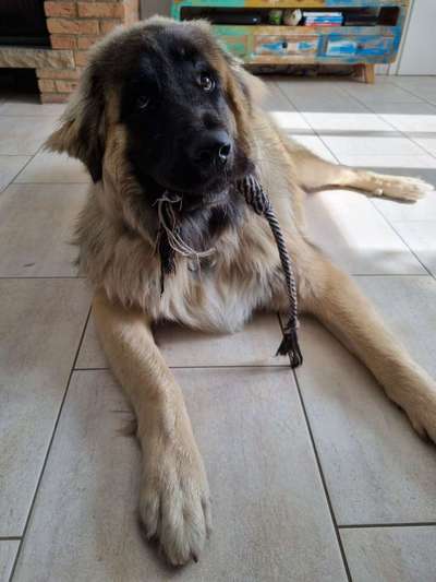 15. Handyfoto Challenge - Indoor Aktivitäten-Beitrag-Bild