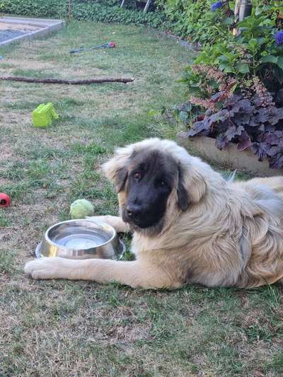 Doppelgänger gesucht !-Beitrag-Bild