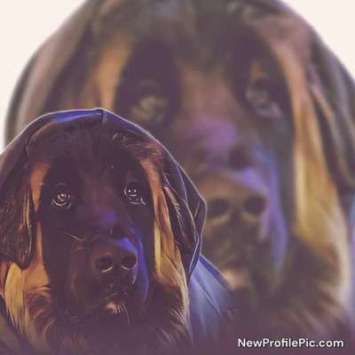 Photoshop und Co.-Beitrag-Bild