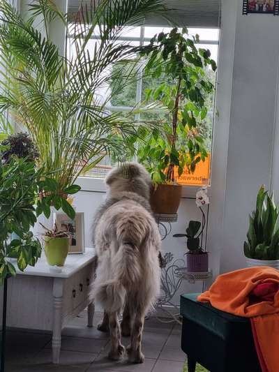 Farben Fotochallenge Thema ,,Grün"-Beitrag-Bild