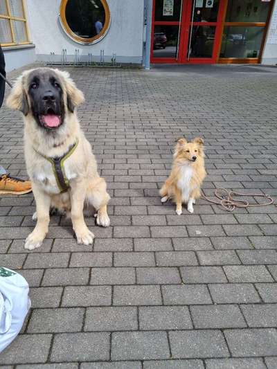 Dogorama Photo Challenge - Gegensätze-Beitrag-Bild