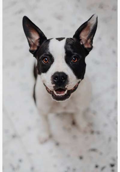 Fotochallange Nr. 57     PORTRÄT.   Beendet!!!!!!!!-Beitrag-Bild