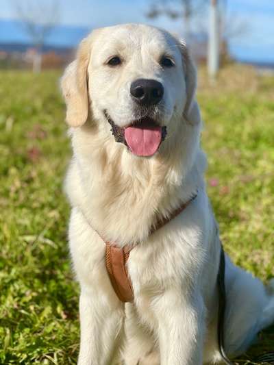 Lieblingsbild-Beitrag-Bild