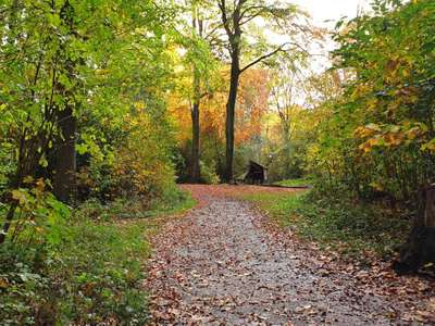 Hundeauslaufgebiet-Bömmerdelle-Bild