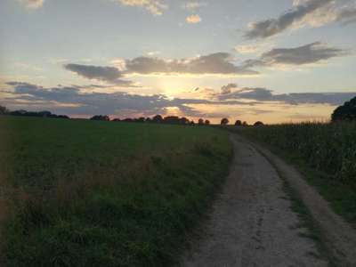 Hundeauslaufgebiet-Krähenwald Langendreer-Bild