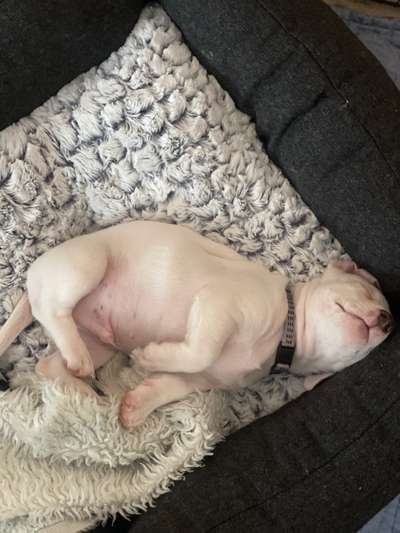 CHALLENGE NR. 34 - Liege-/Schlafpositionen-Beitrag-Bild