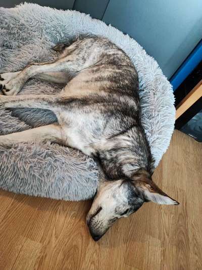 Lieblings Fotos-Beitrag-Bild