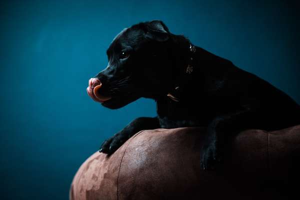 Lieblingsbild :D-Beitrag-Bild