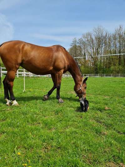 Challenge 30  Freundschaft-Beitrag-Bild