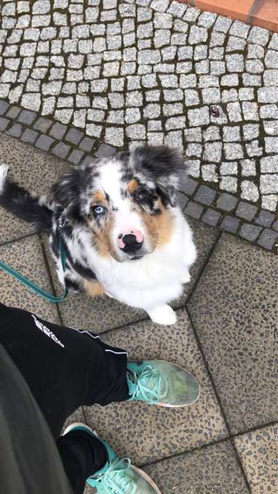 Fotochallange Nr. 57     PORTRÄT.   Beendet!!!!!!!!-Beitrag-Bild