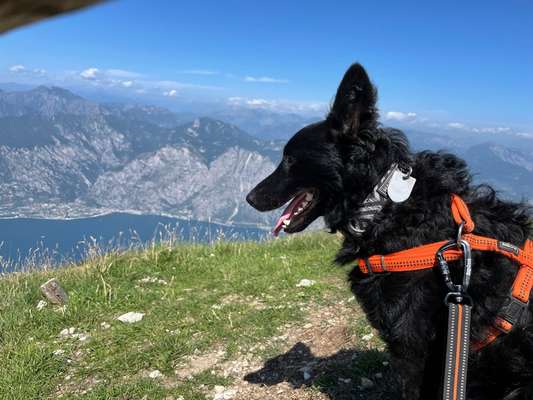 64. Handy Foto Challenge - Hoch hinaus-Beitrag-Bild