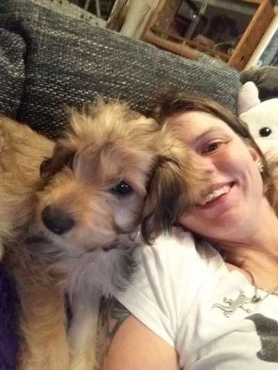 Welpen Bilder !-Beitrag-Bild