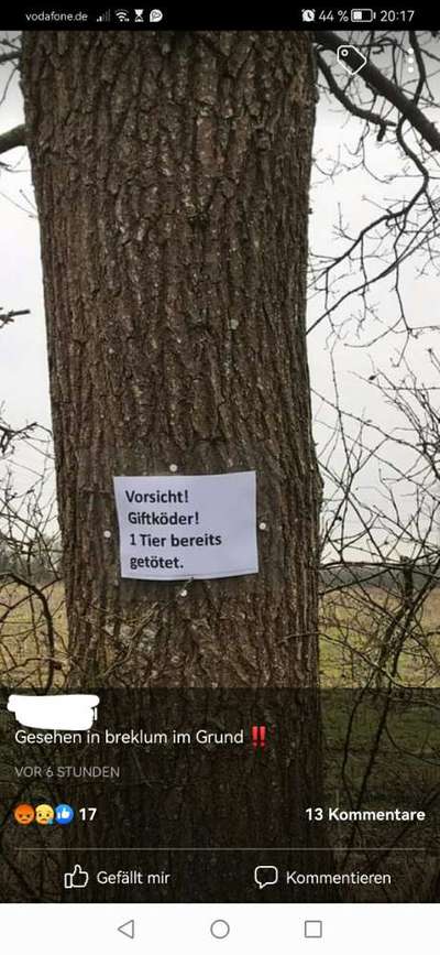 Giftköder-Giftköder-Bild