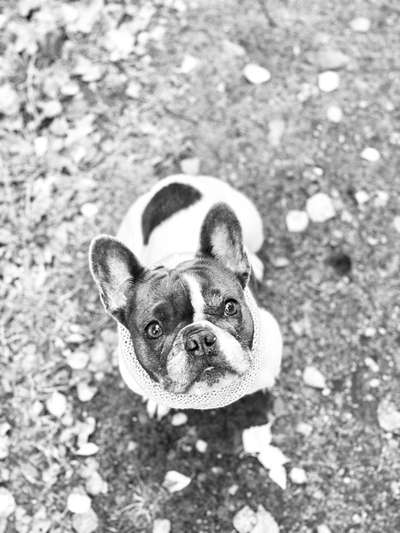 Foto-Challenge 76: Foto in Schwarz-Weiss-Beitrag-Bild