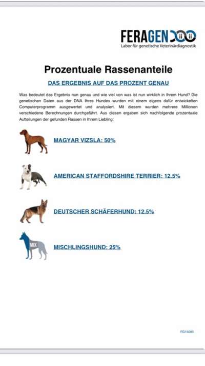 DNA-Tests-Beitrag-Bild