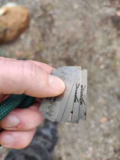 Giftköder-Rasierklingen um Bachlauf-Bild