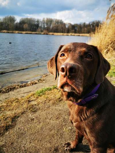 Fotochallange Nr. 57     PORTRÄT.   Beendet!!!!!!!!-Beitrag-Bild