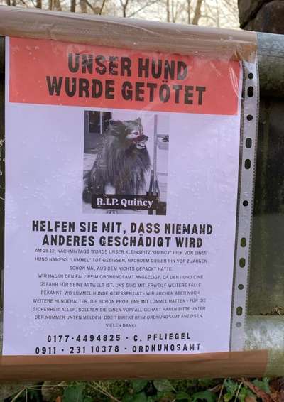 Giftköder-Gefährlicher Hund-Bild